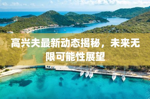 高兴夫最新动态揭秘，未来无限可能性展望