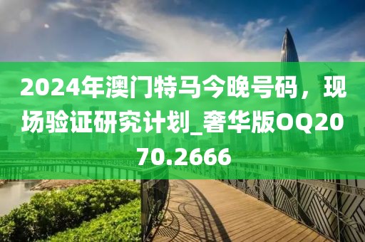 2024年澳门特马今晚号码，现场验证研究计划_奢华版OQ2070.2666