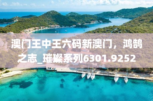澳门王中王六码新澳门，鸿鹄之志_璀璨系列6301.9252
