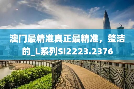 澳门最精准真正最精准，整洁的_L系列SI2223.2376