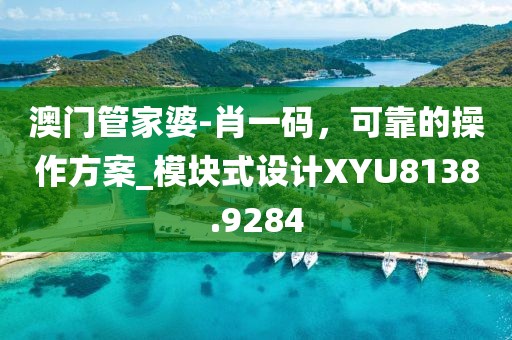 澳门管家婆-肖一码，可靠的操作方案_模块式设计XYU8138.9284