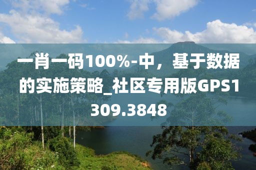 一肖一码100%-中，基于数据的实施策略_社区专用版GPS1309.3848
