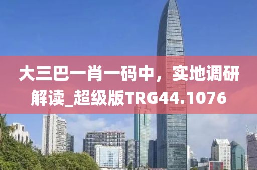 大三巴一肖一码中，实地调研解读_超级版TRG44.1076