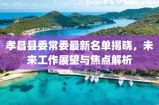 孝昌县委常委最新名单揭晓，未来工作展望与焦点解析