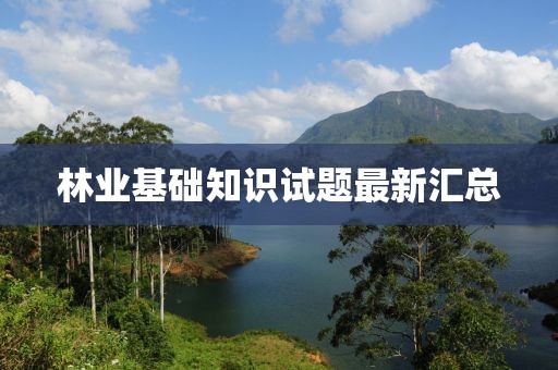 地球另一端的梦 第39页
