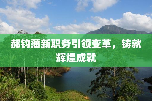 郝钧藩新职务引领变革，铸就辉煌成就