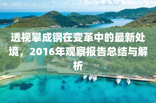 透视攀成钢在变革中的最新处境，2016年观察报告总结与解析