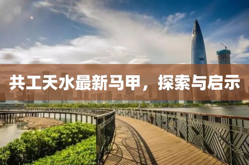 共工天水最新马甲，探索与启示