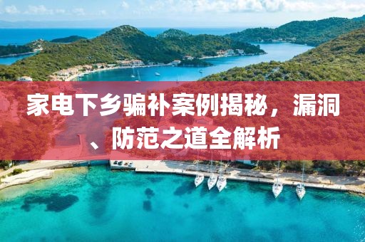 家电下乡骗补案例揭秘，漏洞、防范之道全解析
