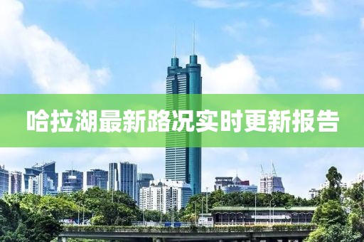 哈拉湖最新路况实时更新报告