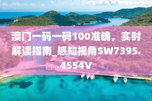 澳门一码一码100准确，实时解读指南_感知视角SW7395.4554V