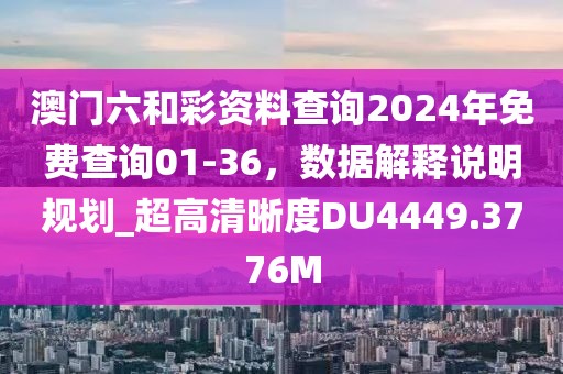 澳门六和彩资料查询2024年免费查询01-36，数据解释说明规划_超高清晰度DU4449.3776M