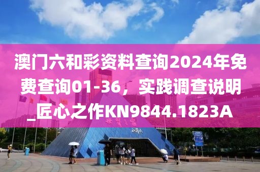 澳门六和彩资料查询2024年免费查询01-36，实践调查说明_匠心之作KN9844.1823A