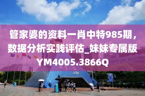 管家婆的资料一肖中特985期，数据分析实践评估_妹妹专属版YM4005.3866Q