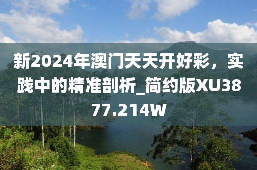 新2024年澳门天天开好彩，实践中的精准剖析_简约版XU3877.214W