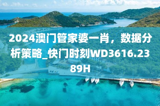 2024澳门管家婆一肖，数据分析策略_快门时刻WD3616.2389H