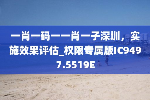 一肖一码一一肖一子深圳，实施效果评估_权限专属版IC9497.5519E
