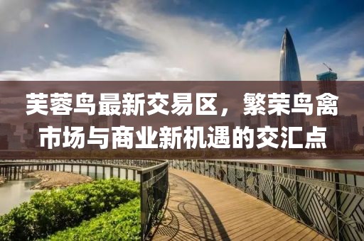 芙蓉鸟最新交易区，繁荣鸟禽市场与商业新机遇的交汇点