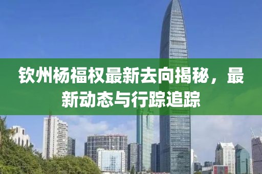 钦州杨福权最新去向揭秘，最新动态与行踪追踪
