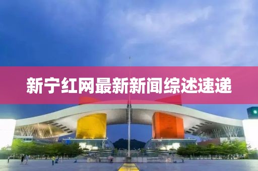 新宁红网最新新闻综述速递