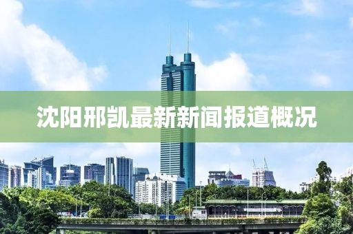 沈阳邢凯最新新闻报道概况