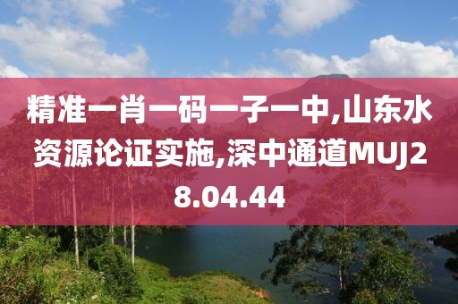 精准一肖一码一子一中,山东水资源论证实施,深中通道MUJ28.04.44