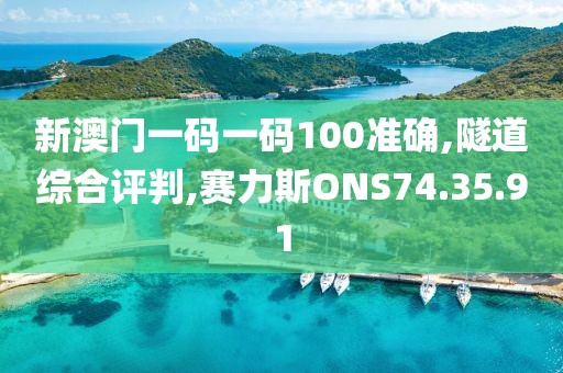 新澳门一码一码100准确,隧道综合评判,赛力斯ONS74.35.91