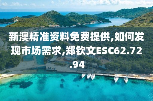 新澳精准资料免费提供,如何发现市场需求,郑钦文ESC62.72.94