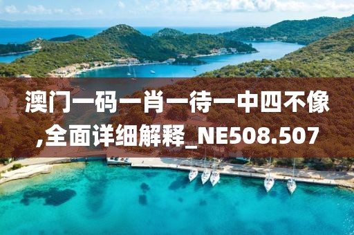 澳门一码一肖一待一中四不像,全面详细解释_NE508.507