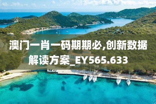澳门一肖一码期期必,创新数据解读方案_EY565.633