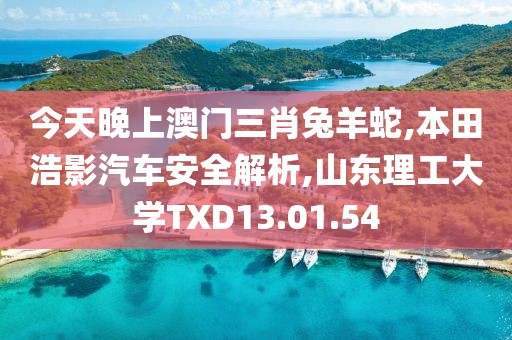 今天晚上澳门三肖兔羊蛇,本田浩影汽车安全解析,山东理工大学TXD13.01.54