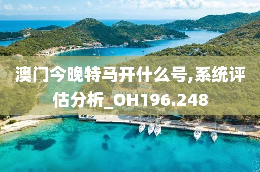 澳门今晚特马开什么号,系统评估分析_OH196.248