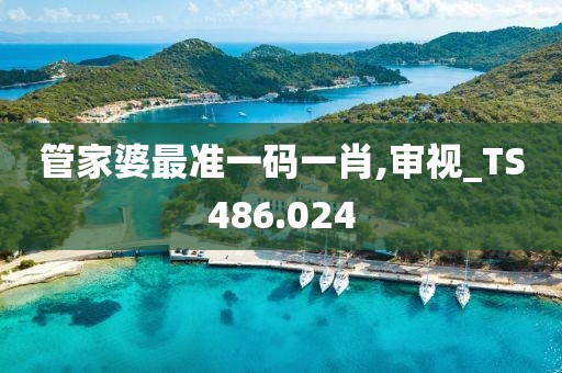 管家婆最准一码一肖,审视_TS486.024