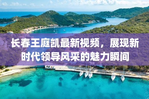 长春王庭凯最新视频，展现新时代领导风采的魅力瞬间