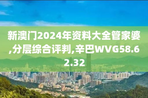 新澳门2024年资料大全管家婆,分层综合评判,辛巴WVG58.62.32