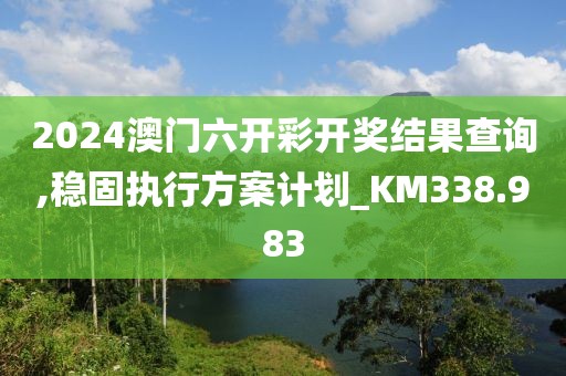 2024澳门六开彩开奖结果查询,稳固执行方案计划_KM338.983