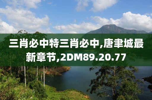 三肖必中特三肖必中,唐聿城最新章节,2DM89.20.77