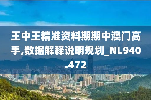 王中王精准资料期期中澳门高手,数据解释说明规划_NL940.472