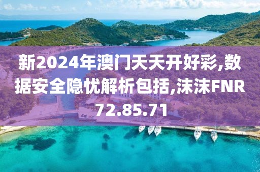 新2024年澳门天天开好彩,数据安全隐忧解析包括,沫沫FNR72.85.71