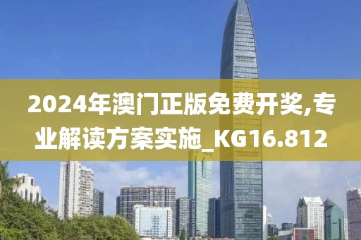 2024年澳门正版免费开奖,专业解读方案实施_KG16.812