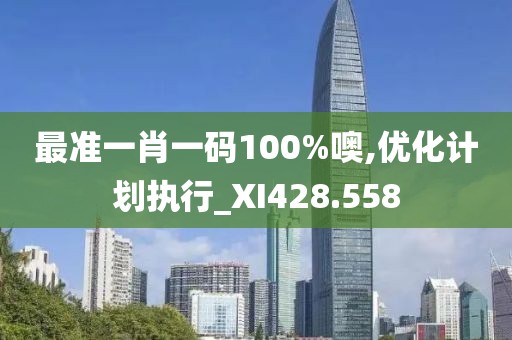 最准一肖一码100%噢,优化计划执行_XI428.558
