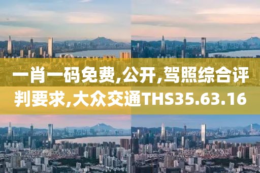 一肖一码免费,公开,驾照综合评判要求,大众交通THS35.63.16