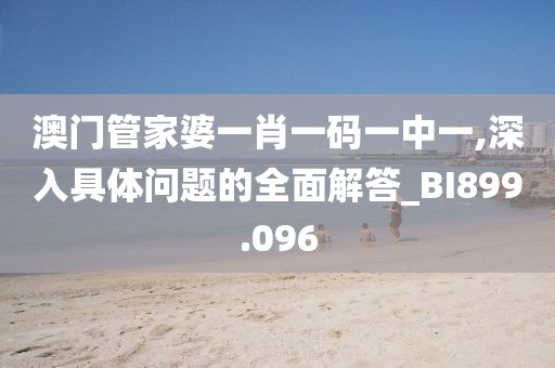 半袖桃花 第32页