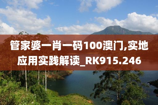 管家婆一肖一码100澳门,实地应用实践解读_RK915.246