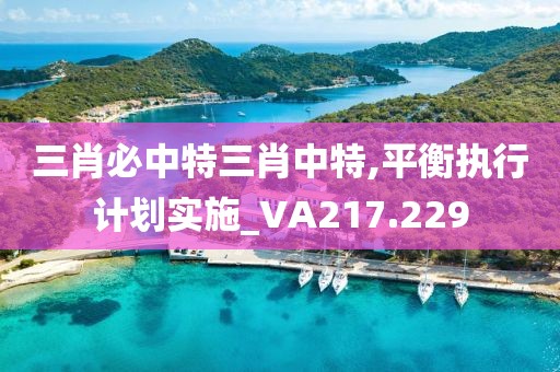 三肖必中特三肖中特,平衡执行计划实施_VA217.229