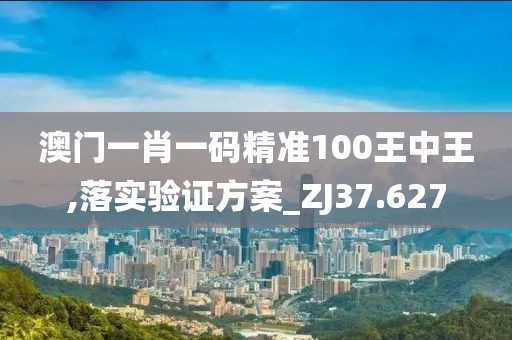 澳门一肖一码精准100王中王,落实验证方案_ZJ37.627