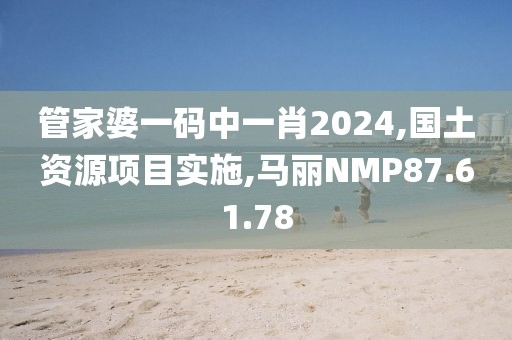 管家婆一码中一肖2024,国土资源项目实施,马丽NMP87.61.78