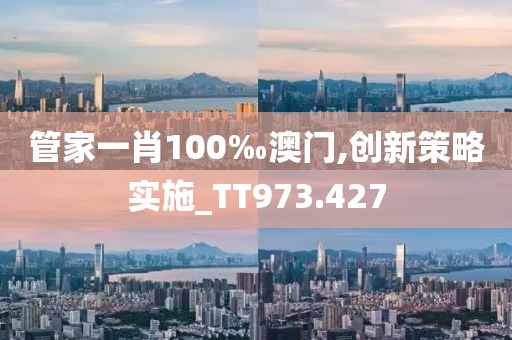管家一肖100‰澳门,创新策略实施_TT973.427