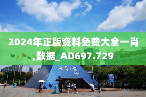 2024年正版资料免费大全一肖,数据_AD697.729