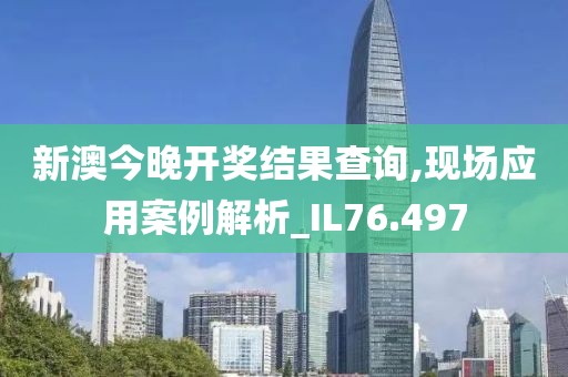 新澳今晚开奖结果查询,现场应用案例解析_IL76.497